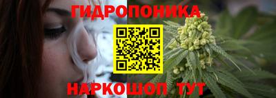 ALPHA PVP Моздок