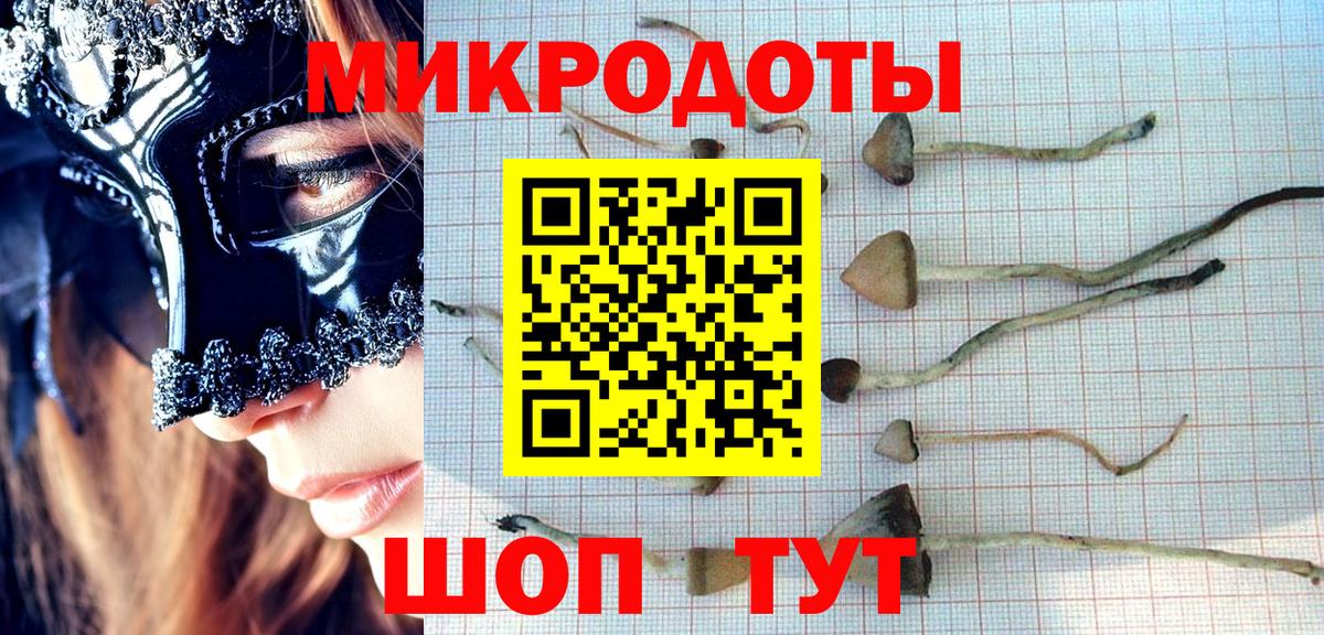 Галлюциногенные грибы прущие грибы Тосно