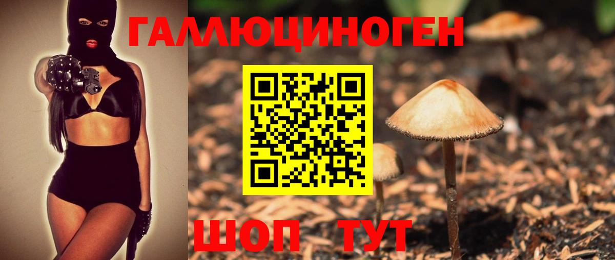 наркота  Вход с VPN  Тосно  Псилоцибиновые грибы Magic Shrooms 